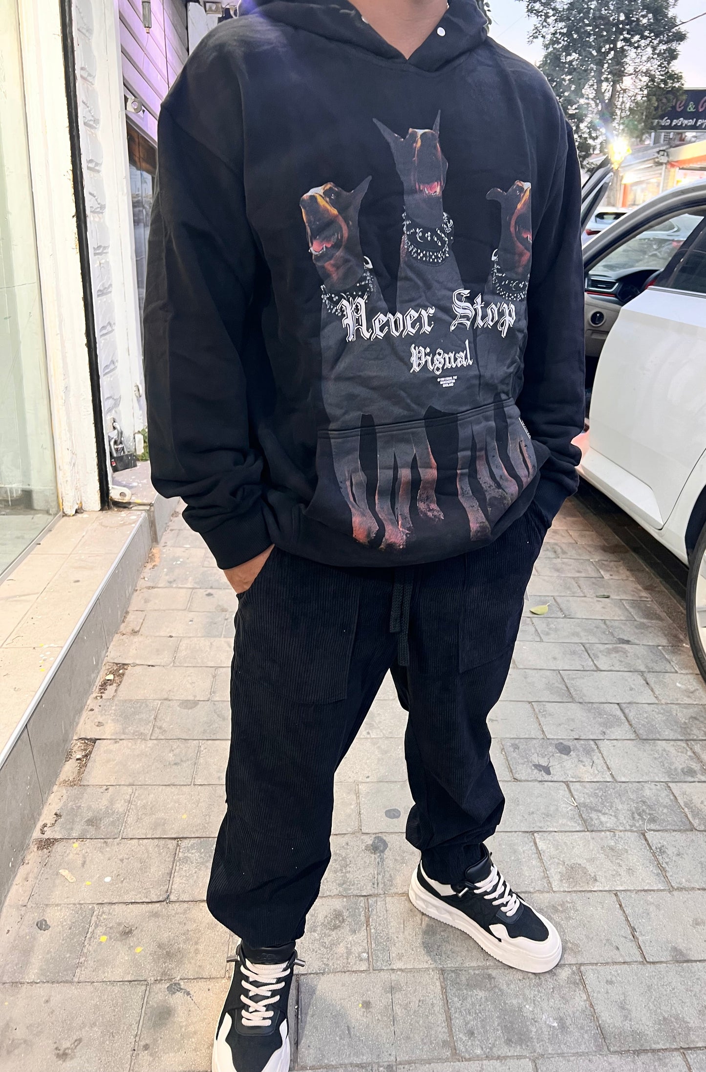 קפוצ'ון אופנה 3 כלבים