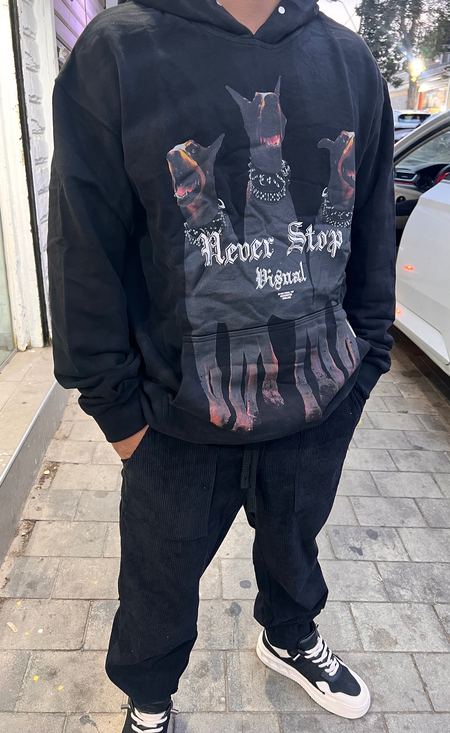 קפוצ'ון אופנה 3 כלבים